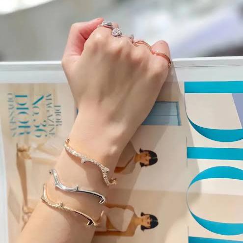 Larose Bangle Diamond Gold 18K-Diamond Jewelry-258GBD2227RY-20GBD11680RB-HT