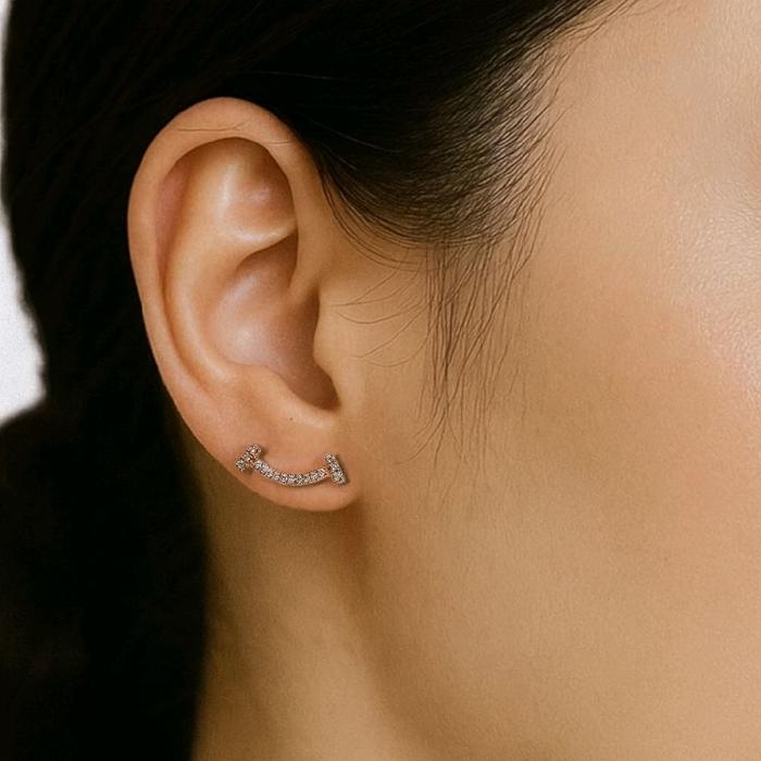Smile Diamond Earring 18K / Anting Berlian Smile 18K / Diamond Jewelry 400ABDAB25300LS-HT