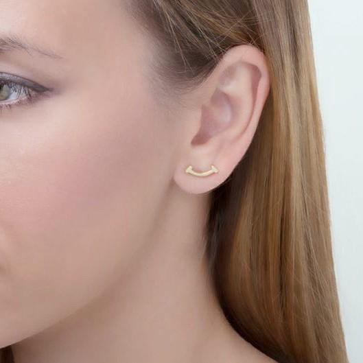 Smile Earring Gold Made With 18k Gold-Diamond Jewelry-102AMSSM149RY-HT