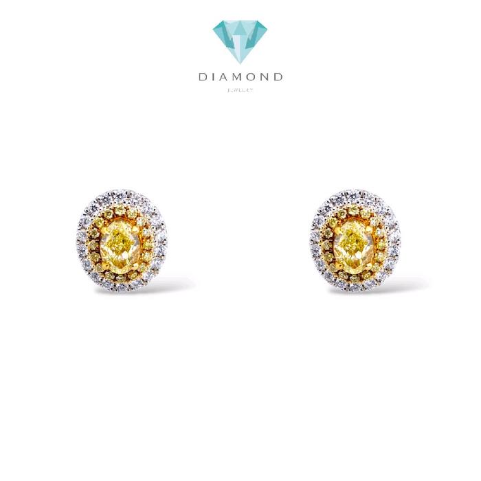 Yellow Diamond Oval Earring 18K / Anting Oval Berlian Kuning 18K / Diamond Jewelry / 1AB15000VLR