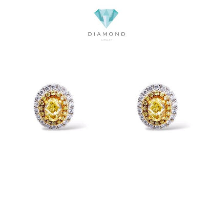 Yellow Diamond Oval Earring 18K / Anting Oval Berlian Kuning 18K / Diamond Jewelry / 1AB15000VLR